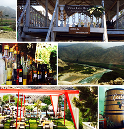 resort natural
